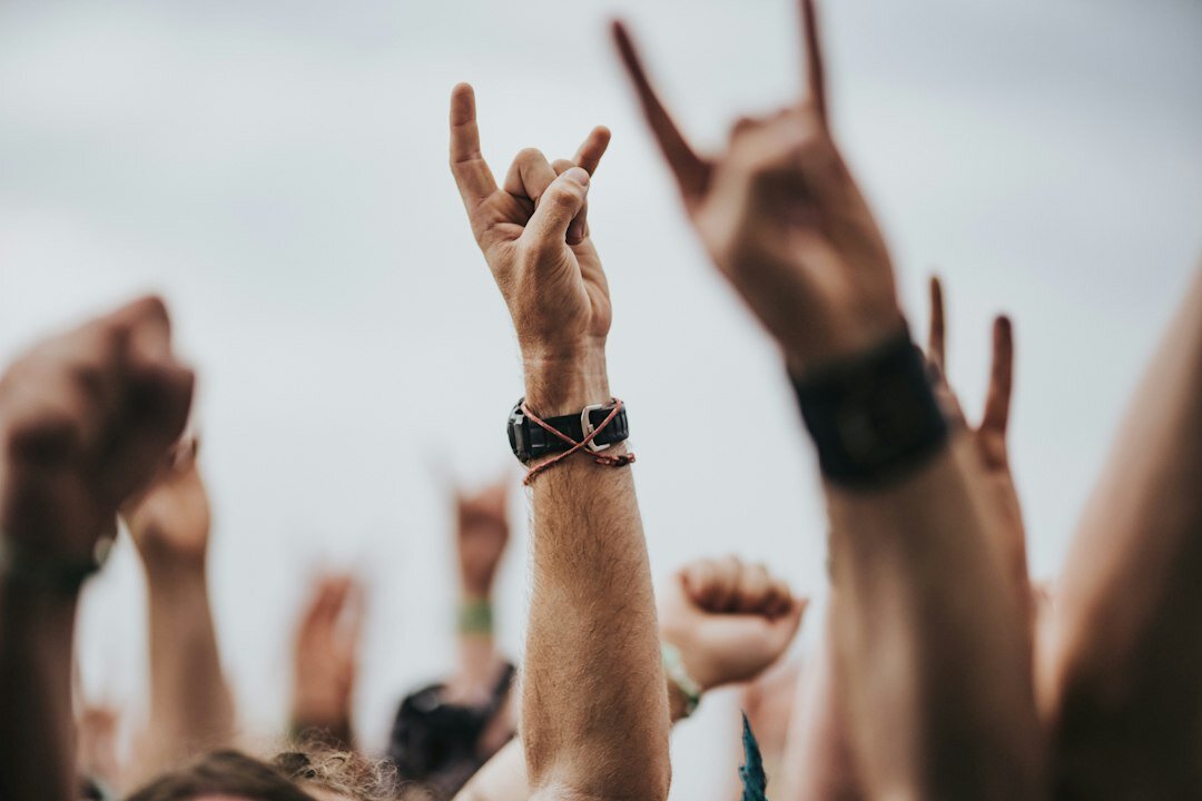crowd at music festival